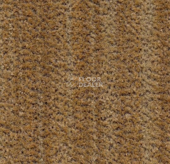 Грязезащитные покрытия Forbo Coral Brush 5754 straw brown фото 1 | FLOORDEALER